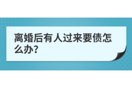 府谷为什么选择专业追讨公司来处理您的债务纠纷？